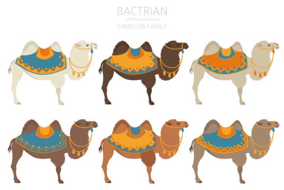 Bactrian Camel Clipart: A Versatile Asset for Modern Design and Creative Industries