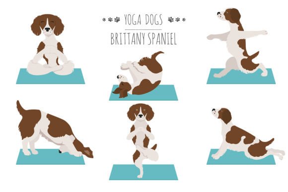 Brittany Yoga: A Unique Fusion of Creativity and Commerce in the World of Design