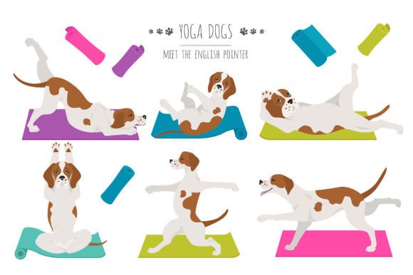 English Pointer Yoga: A Playful Design Asset