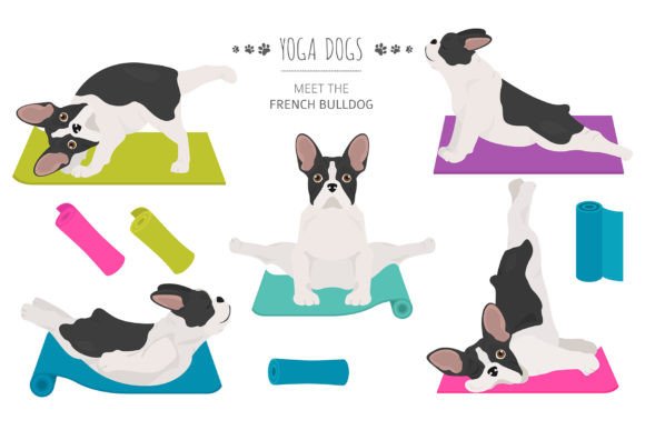 French Bulldog Yoga: A Playful Approach to Creative Design and Branding