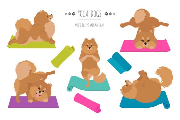 Pomeranian Yoga: A Creative Workflow Tool for Designers and Creators