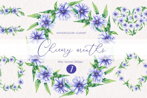 Watercolor Chicory Wreaths Clipart PNG: A Versatile Design Resource