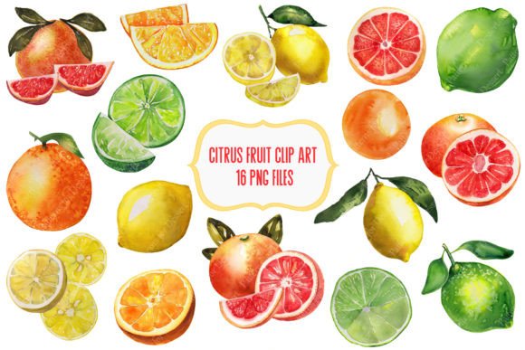 Watercolor Citrus Fruit Clip Art